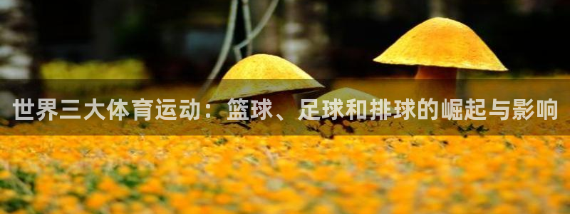 yy易游官方正版app官网：世界三大体育运动：篮球、