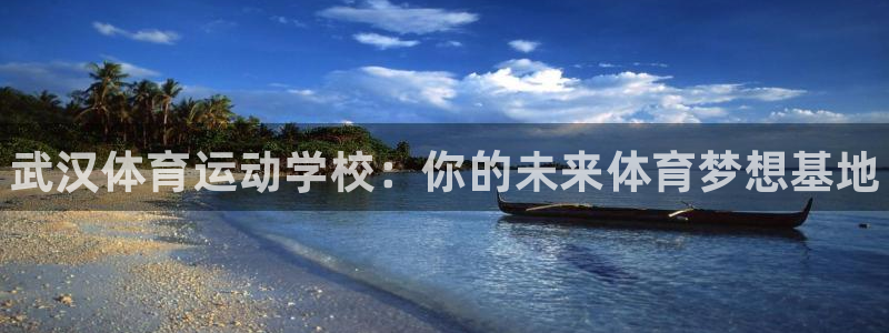 yy易游官方正版app五金厂：武汉体育运动学校：你的