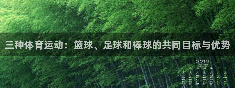 yy易游官网下载平台注册要钱吗安全吗：三种体育运动：篮球、足