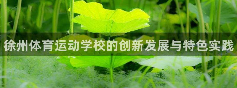 yy易游官网下载注册：徐州体育运动学校的创新发展与特色实践