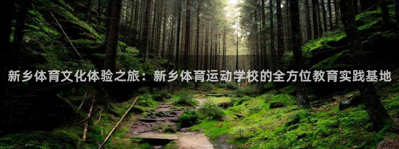 yy易游官网下载注册：新乡体育文化体验之旅：新乡体育