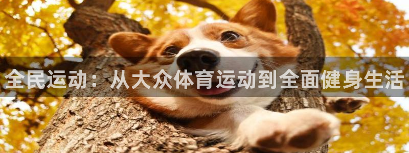 yy易游官网下载平台假的吗是真的吗：全民运动：从大众