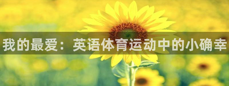yy易游官方集团官网：我的最爱：英语体育运动中的小确幸
