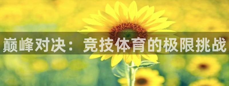 海南yy易游官网下载发展怎么样