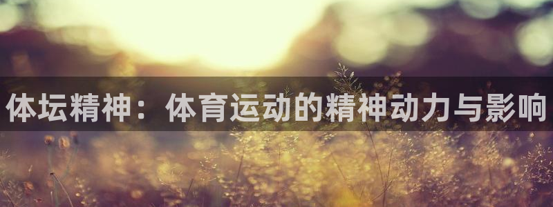 yy易游官网下载招商电话号码是多少：体坛精神：体育运动的精神