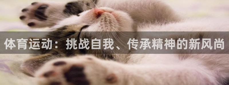 yy易游官网下载招商电话地址：体育运动：挑战自我、传