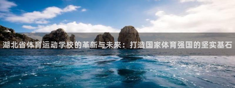 yy易游官网下载注册：湖北省体育运动学校的革新与未来