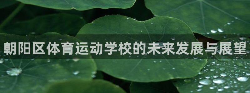 yy易游官网下载招商电话是多少啊：朝阳区体育运动学校的未来发