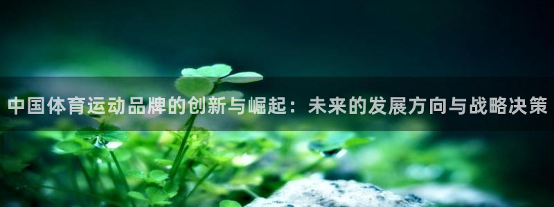 yy易游官网下载平台APP：中国体育运动品牌的创新与