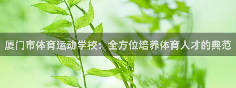 yy易游官网下载招商电话