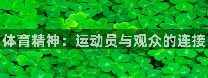 yy易游官网下载招商电话号码是多少啊:体育精神:运动员与观众