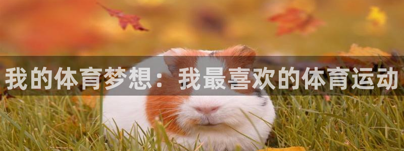 德国yy易游官方正版app集团