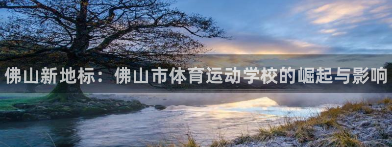 yy易游官方正版app官网：佛山新地标：佛山市体育运动学校的