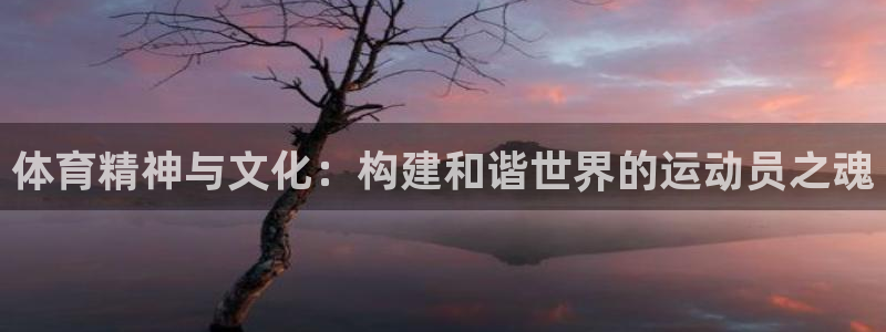 yy易游官方正版app集团